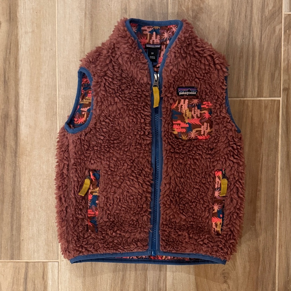 Patagonia Retro X  Fleece Vest